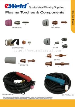 Plasma Torch & Components