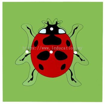 KB024 Insect Puzzle - Ladybird