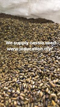 Cassia Seed 50kg