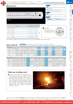 SHINWA Molding Rule