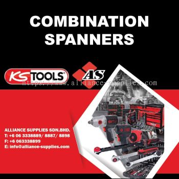 KS TOOLS Combination Spanners