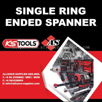 KS TOOLS Single Ring Ended Spanner