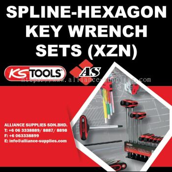 KS TOOLS Spline-Hexagon Key Wrench Sets (XZN)