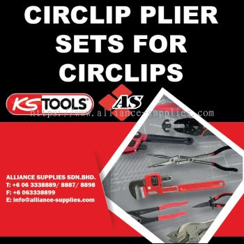 KS TOOLS Circlip Plier Sets for Circlips