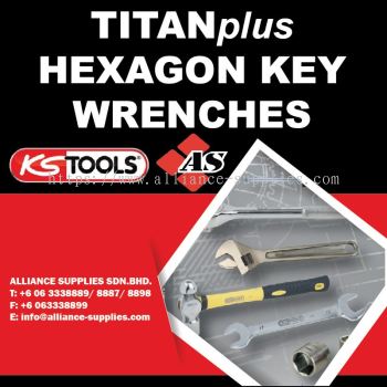 KS TOOLS TITANplus Hexagon Key Wrenches 