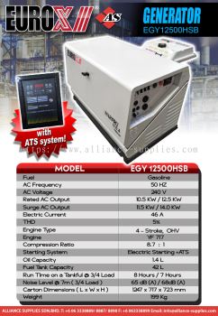 Generator EGY12500HSB