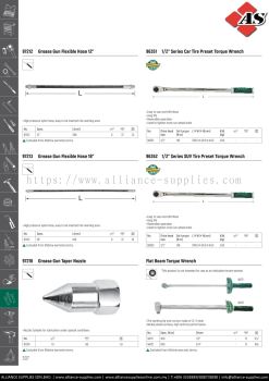 SATA Tyre Repair Tools 