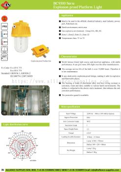 BC9300 Series Explosion Proof Platform Light