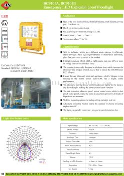 17.04.1 BC9101A, BC9101B Emergency LED Explosion Proof Floodlight