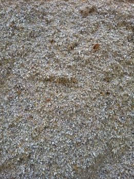 Coarse Sand ��ɳ