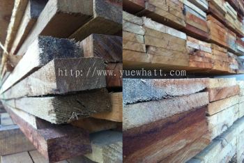 Tenalised Wood ҩˮľ / ɱ��ľ