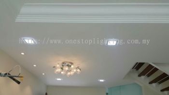 Plaster Ceiling Offer 