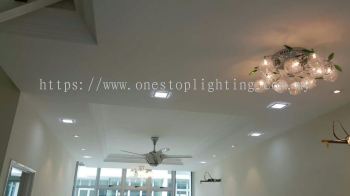 Plaster Ceiling Offer 