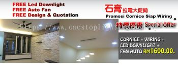 Plaster Ceiling Promotion