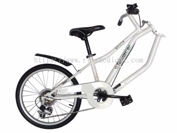 aiwan ibike City Leisure Bike Model  CY-TDS6 Palma 2.0 WH