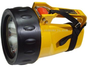 4 cell ex-torch light