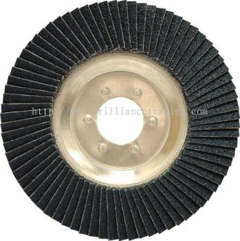 Flap Discs Dia 100mm X 16mm P36m, YRK2208010K