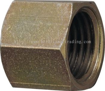 Union Nuts, 1/4" Bore, PCL2593367H