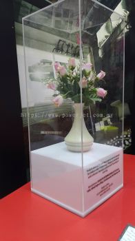 Decorative Acrylic Display Box - Glorifier