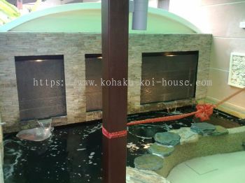 Refurbished Koi pond