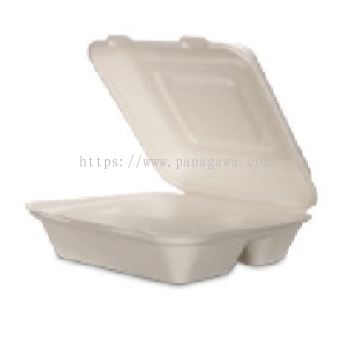 Bagasse Box