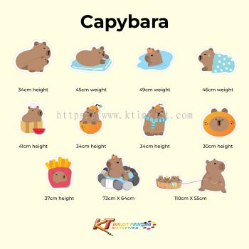 Combo Package - Capybara