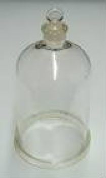 Bell Jar with Glass Stopper