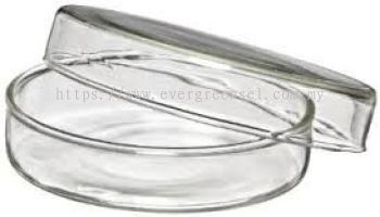 Glass Petri Dish