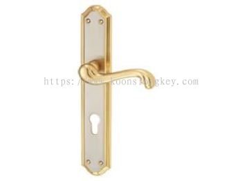 Lever Handle Model No: 6038A G/N