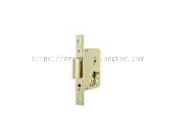 TESA_High Security Mortise Lock  Model No: 2031-XX-HN