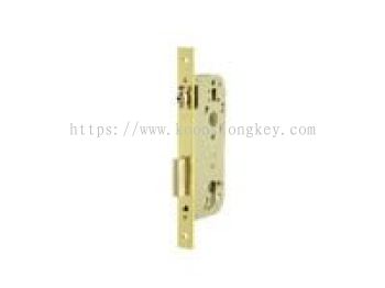 TESA_High Security Mortise Lock  Model No: 2036-XX-HL