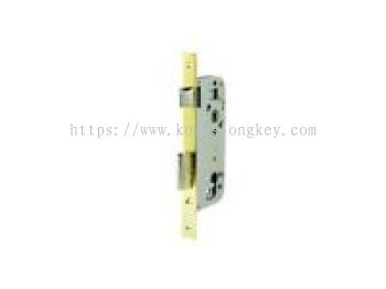 TESA_High Security Mortise Lock  Model No: 4030-XX-HL