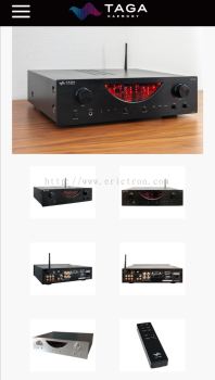 TAGA Hybrid stereo amplifier