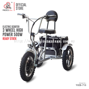 Electric Scooter 3 Wheel Folding 500W for Elderly