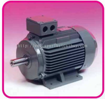 Teco Three Phase AC Induction Motor IP55 Protection, IEC Standard, Class H Insulation