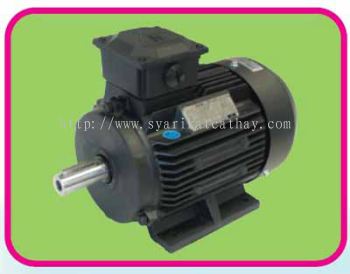 Teco Three Phase AC Induction Motor IP55 Protection, IEC Standard, Class H Insulation