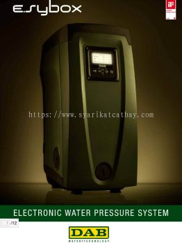DAB Electronic Water Pressure System