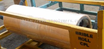 Bridle Roller for Steel Mill