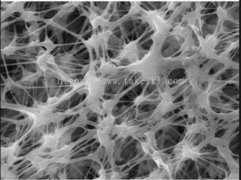 Sterlitech PP012005 Polypropylene Membranes