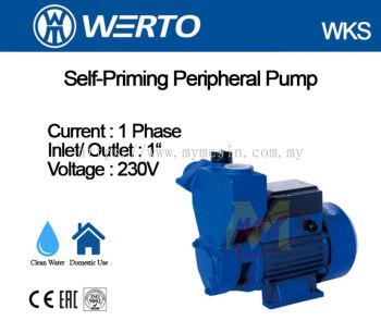 Werto WKS Self-Priming Peripheral Pump