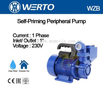 Werto WZB Self-Priming Peripheral Pump