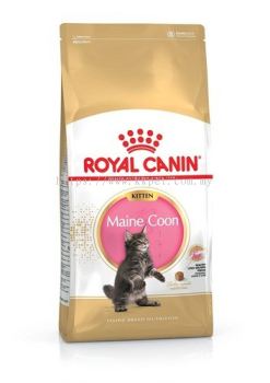 Royal Canin Mainecoon Kitten