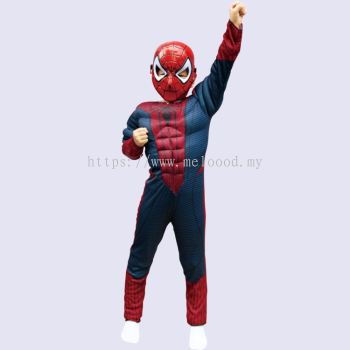 Spiderman Kid costume