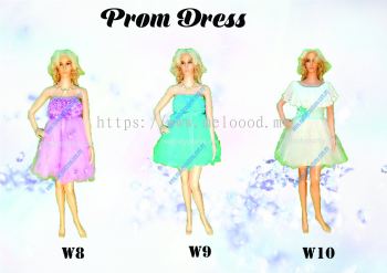 PROM DRESS SHORT W8-W10