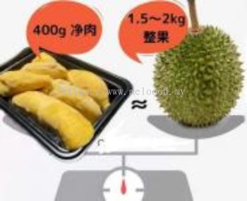 vacuum packed frozen durian - D197(without shell)