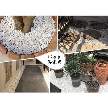 500g Natural polished pebble stone Yuhua stone fish tank paving potted colo / 天然精抛光鹅卵石石头雨花石鱼缸铺路盆栽五彩鹅暖石鹅软石小石子