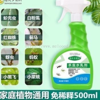 Insecticide flower plants household flowers and plants general indoor potted plants 杀虫花卉植物 家用花草 一般室内盆栽