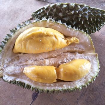 musang king buffet