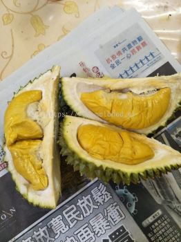 musang king buffet