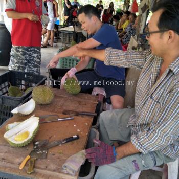 musang king buffet